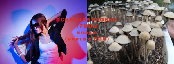соль курить ск Алексин
