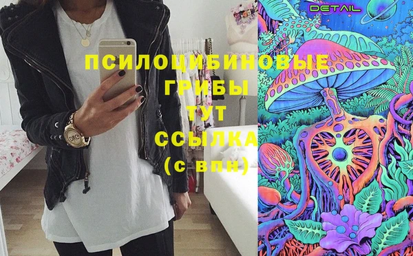 стаф Алзамай