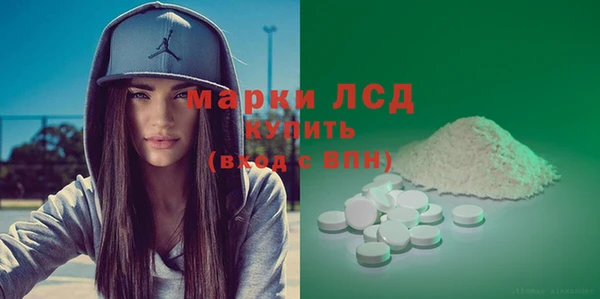 ПСИЛОЦИБИНОВЫЕ ГРИБЫ Вязники