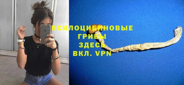 стаф Алзамай