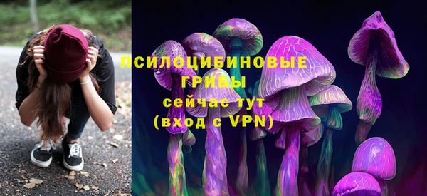 соль курить ск Алексин