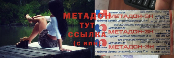 стаф Алзамай