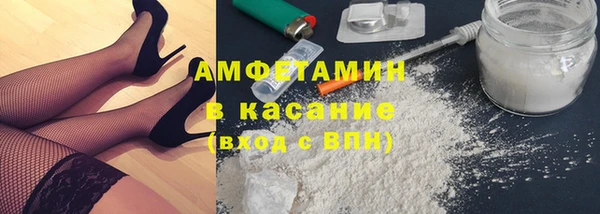стаф Алзамай