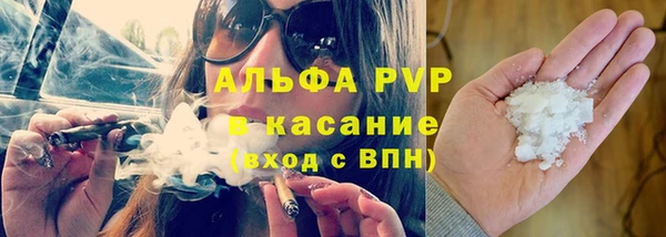 стаф Алзамай