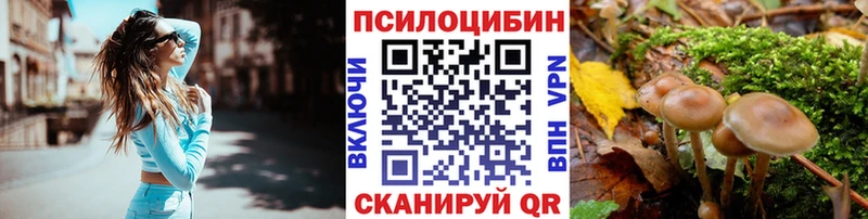 Псилоцибиновые грибы ЛСД Княгинино