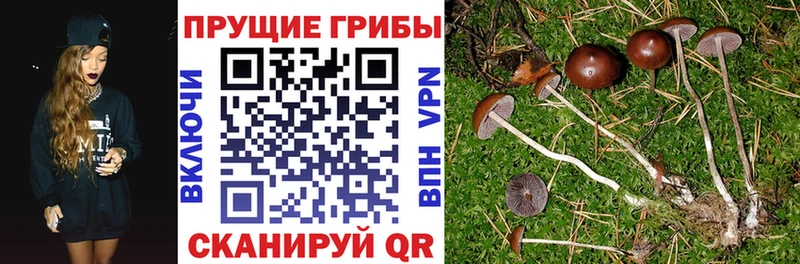 Псилоцибиновые грибы Magic Shrooms ссылка на мегу ссылки Княгинино